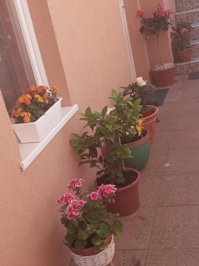 Erna Apartman Zalakaros Exterior foto